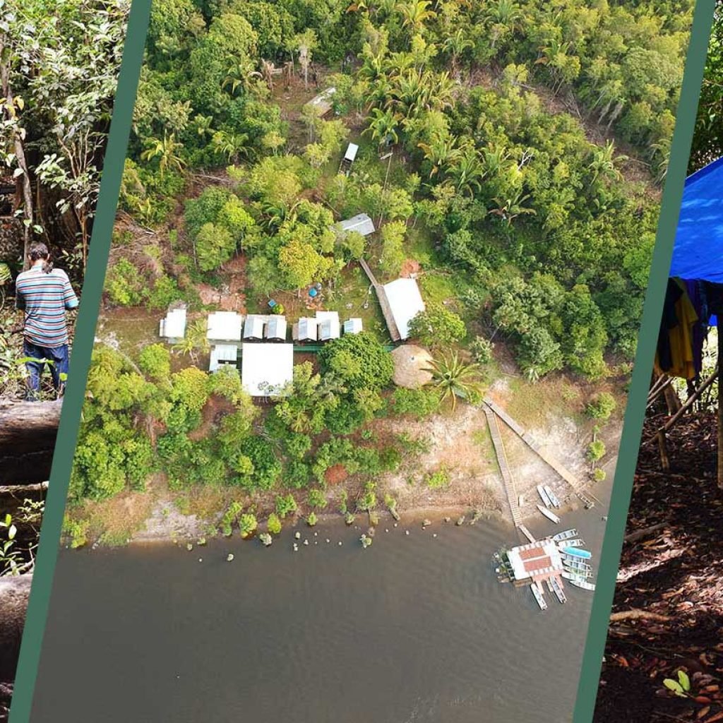 Jungle Lodge & Adventure Tour (3 days / 2 nights)
