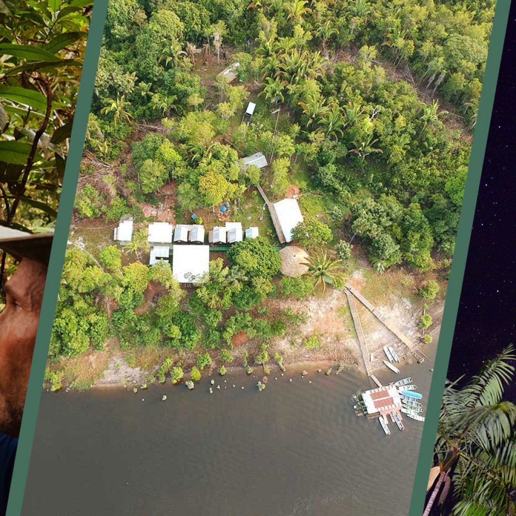 Jungle Lodge & Adventure Tour (5 days / 4 nights)