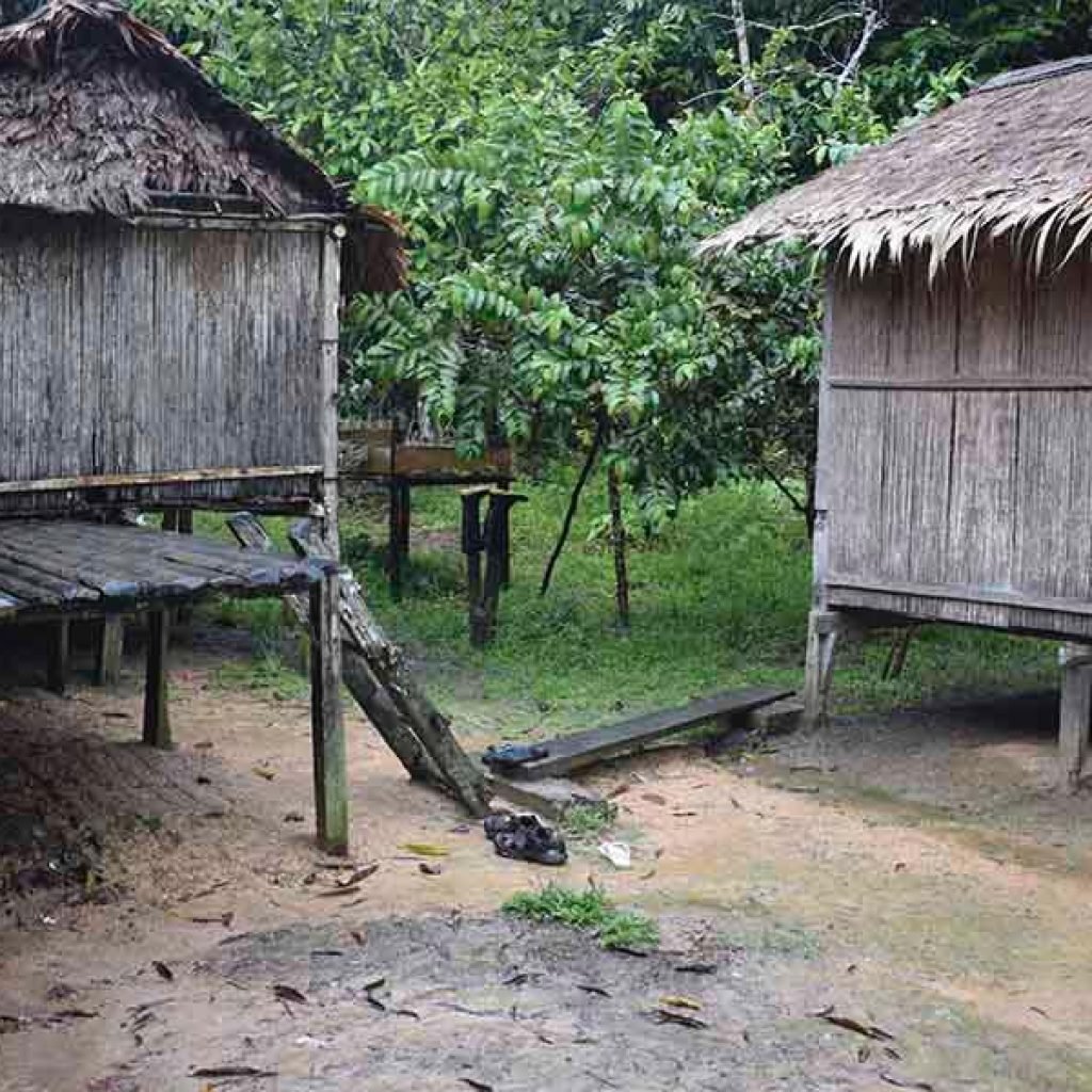 Indigenous Community Deep Jungle Tour (9 days)